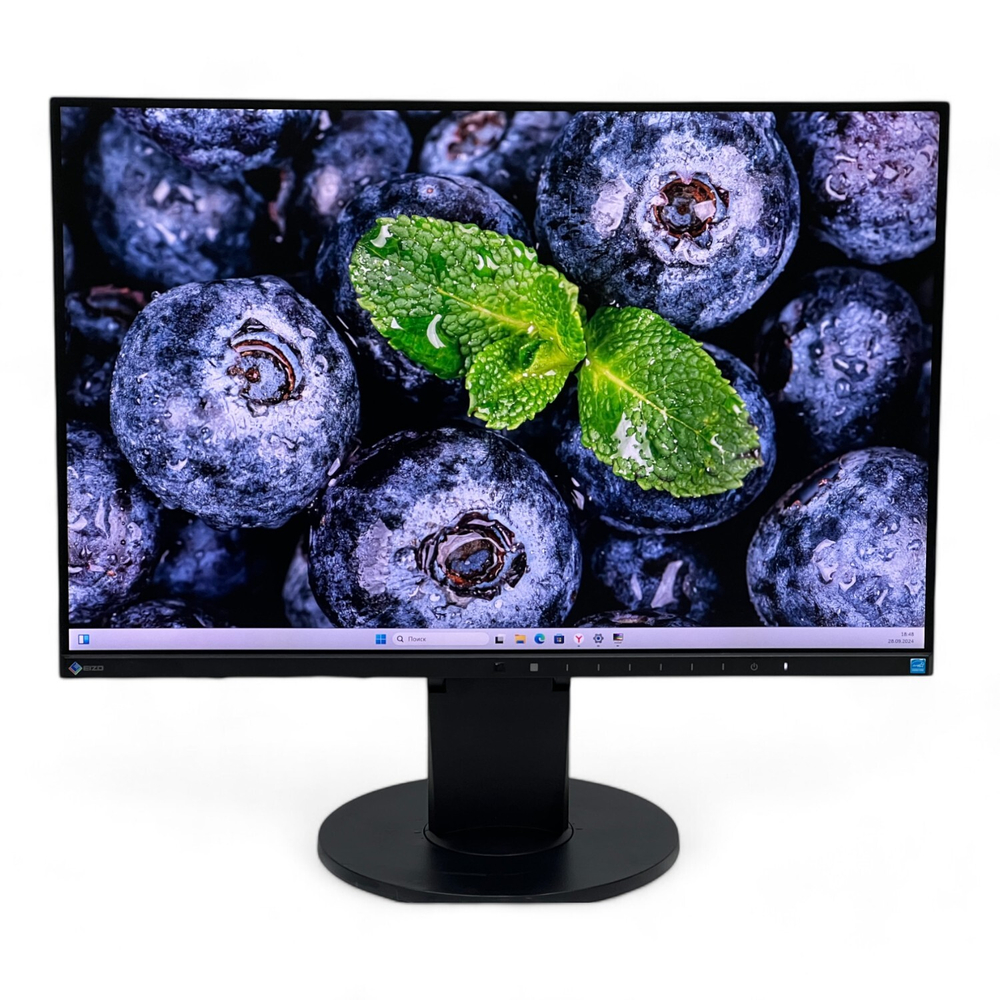 Монитор Eizo FlexScan EV2455 ( 24" 1920x1080 IPS )